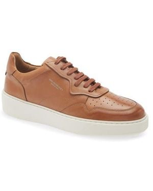 Bruno Magli Dino Leather Sneaker - Brown