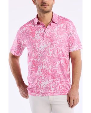 Robert Graham Ives Knit Polo - Pink