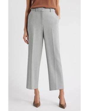 Nordstrom Ankle Pants - Gray