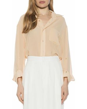Alexia Admor Atticus Sheer Button Up Shirt - Natural