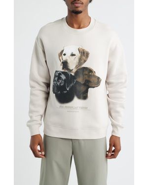 Saint Studio Forever Graphic Sweatshirt - Gray