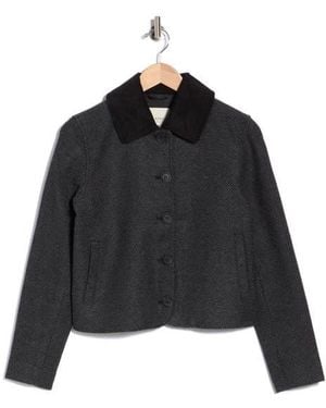 Bagatelle Corduroy Collar Crop Jacket - Black