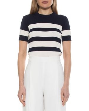 Alexia Admor Pat Stripe Short Sleeve Sweater Top - Blue