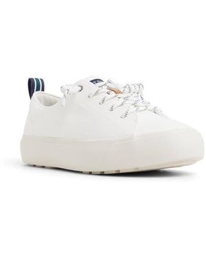 Sperry Top-Sider Cove Lace-To-Toe Sneaker - White