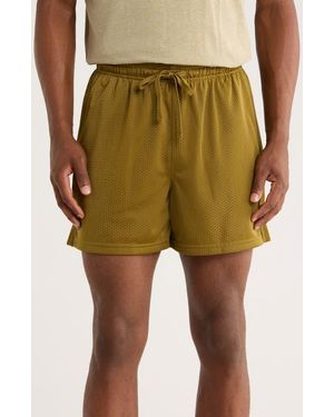 Under Armour Icon Mesh Shorts - Green