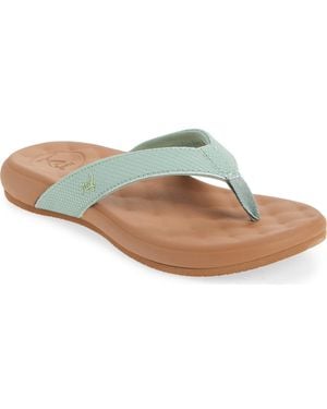 Reef Cushion Harmony Flip Flop - Blue