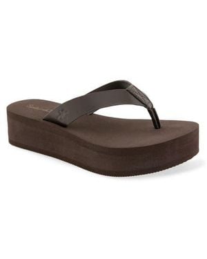 Splendid Quintana Eva Platform Flip Flop - Brown
