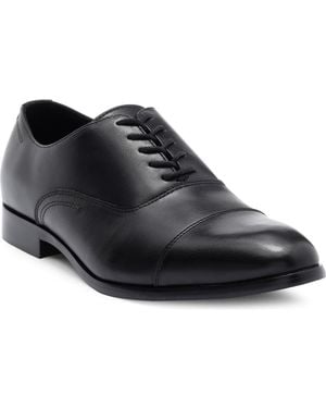 Abound Harry Cap Toe Derby - Black