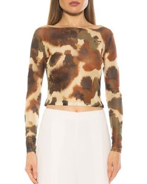 Alexia Admor Opal Sheer Mesh Top - Multicolor