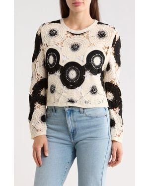 Forgotten Grace Beaded Cotton Open Stitch Sweater - Multicolor