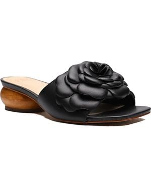 Ashley Kahen Rose Floral Slide Sandal - Black
