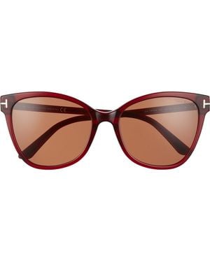 Tom Ford Ani 58Mm Gradient Cat Eye Sunglasses - Brown