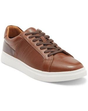 Steve Madden Strouz Low Top Sneaker - Brown