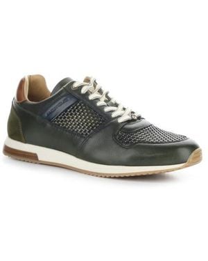 Ambitious 11240 Perforated Sneaker - Multicolor