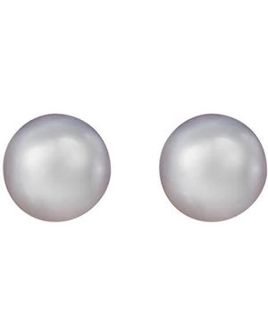 Splendid 14K 5-5.5Mm Greay Freshwater Pearl Stud Earrings - Multicolor