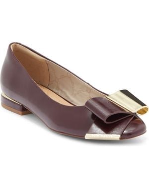 Ted Baker Darcy Bow Flat - Brown