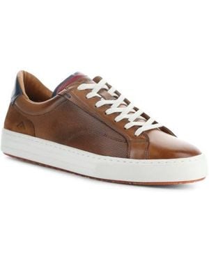 Ambitious 11218 Low Top Sneaker - Brown