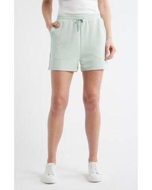 Bernardo Knit Shorts - Green