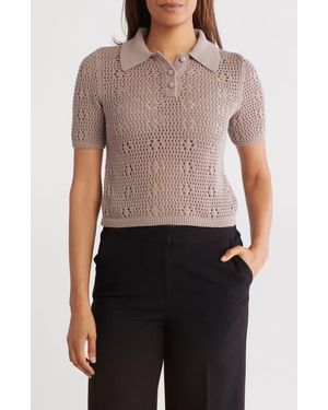 Tahari Crochet Polo Sweater - Brown