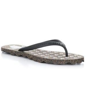 ASPORTUGUESAS Turtle Flip Flop - Multicolor