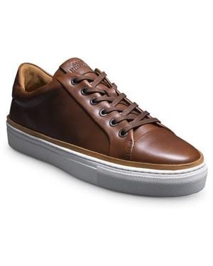 Allen Edmonds Flynn Leather Sneaker - Brown
