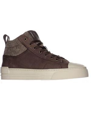 Pajar Tray Wool Lined Mid Top Sneaker - Brown