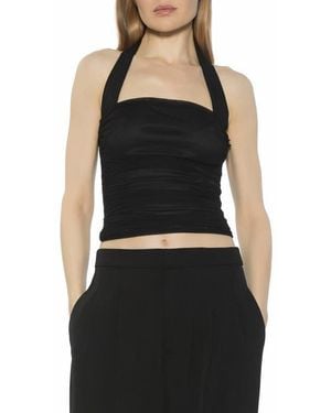 Alexia Admor Luca Halter Square Neck Top - Black