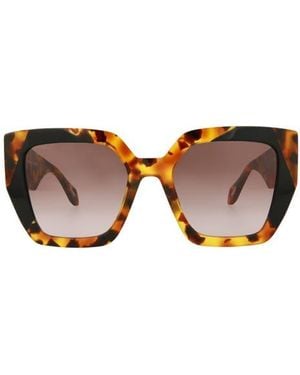 Just Cavalli 53Mm Square Sunglasses - Brown