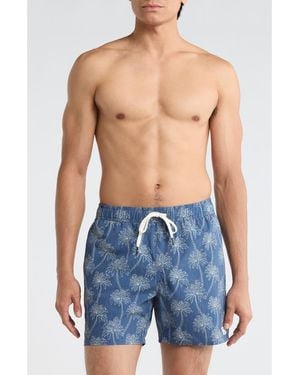 RVCA Exotica Swim Trunks - Blue