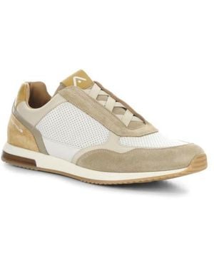 Ambitious 13956 Low Top Sneaker - White