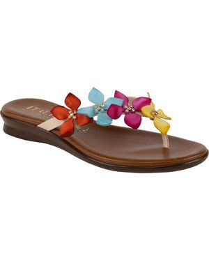 Italian Shoemakers Floral Embellished Flip Flops - Brown