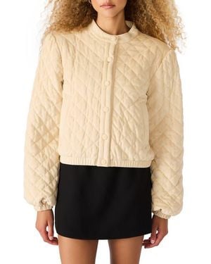 Steve Madden Brylee Quilted Jacket - Black