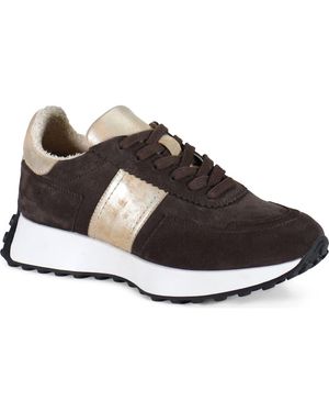 Diba True Know It All Sneaker - Brown