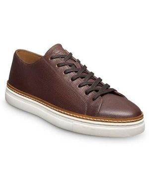 Allen Edmonds Percy Low Top Sneaker - Brown
