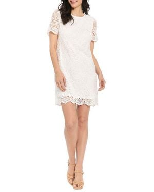 London Times Scalloped Lace Shift Dress - White