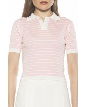 Alexia Admor Elani Knit Polo - Pink
