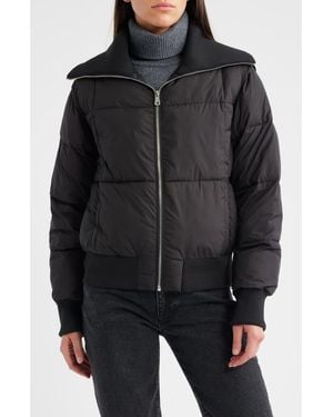 Bernardo Knit Collar Crop Puffer Jacket - Black