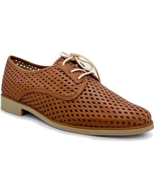 Chelsea Crew Woody Perforated Derby - Brown