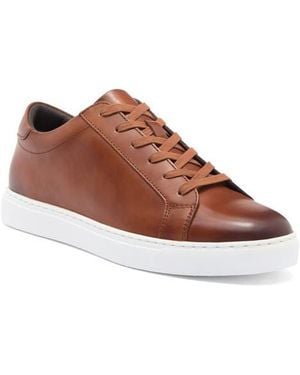 Vittorio Russo Deon Low Top Sneaker - Brown