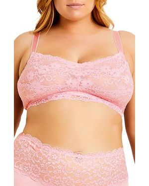 City Chic Lace Bralette - Pink