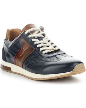 Ambitious 11319 Low Top Sneaker - Blue