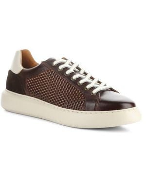 Ambitious 13450 Woven Low Top Sneaker - Brown