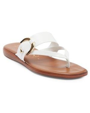 Italian Shoemakers Carlee Buckle Sandal - White