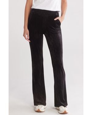 Wishlist Wide Leg Velvet Pants - Black