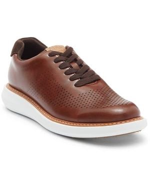 Steve Madden Hazzer Sneaker - Brown