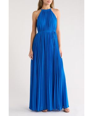 Ted Baker Helyos Pleated Maxi Halter Dress - Blue