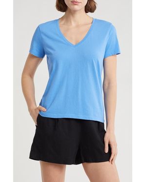 Madewell Softfade V-Neck Tee - Blue