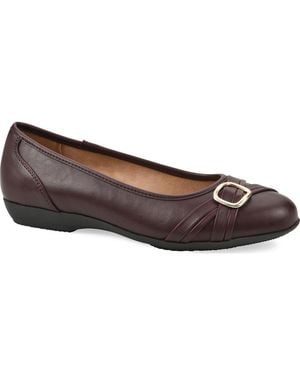 White Mountain Calming Buckle Strap Flat - Brown