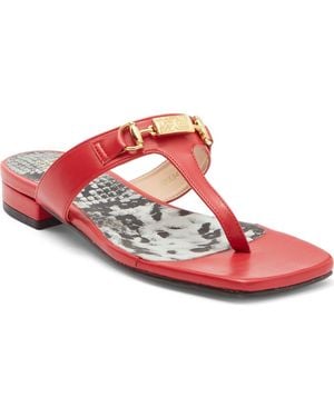 Roberto Cavalli Toe Post Sandal - Pink