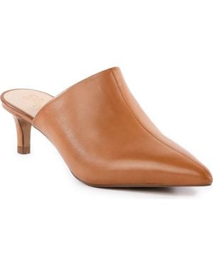 Seychelles Stefani Pointed Toe Mule - Brown